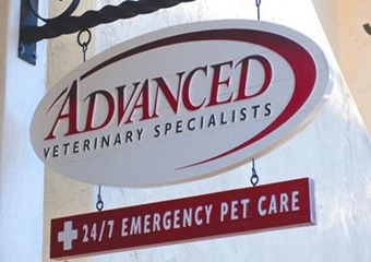 advanced veterinary specialists vets in santa barbara california
